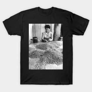 Vintage photo of woman sorting coffee T-Shirt